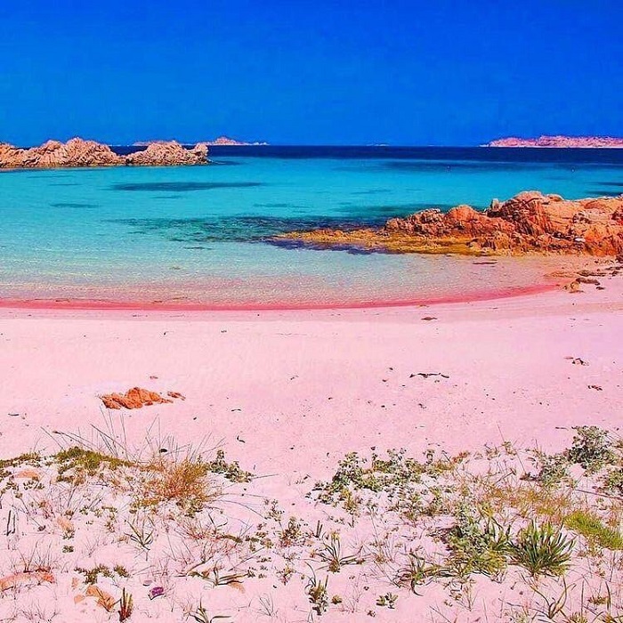 Bãi biển Spiaggia Rosa là bãi biển cát hồng trên thế giới nằm ở Ý