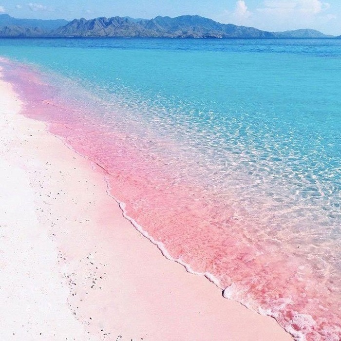 Bãi biển Spiaggia Rosa là bãi biển cát hồng trên thế giới mê mẩn du khách bốn phương