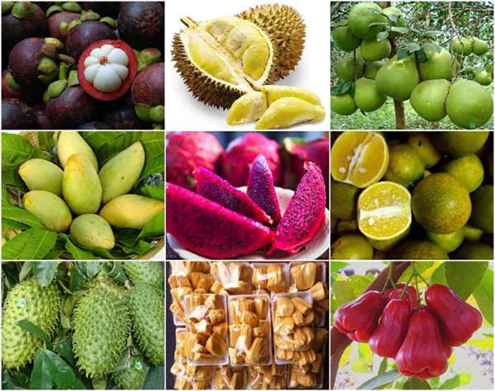 Western travel experiences - colorful fruits