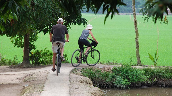 Đạp xe là một trong những hoạt động được khách du lịch yêu thích khi đến Cù lao Tân Phong