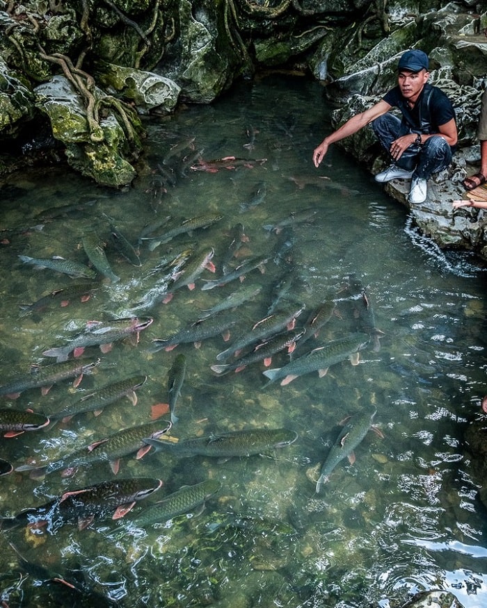 điểm du lịch Thanh Hoá 30/4 - suối cá thần Cẩm Lương