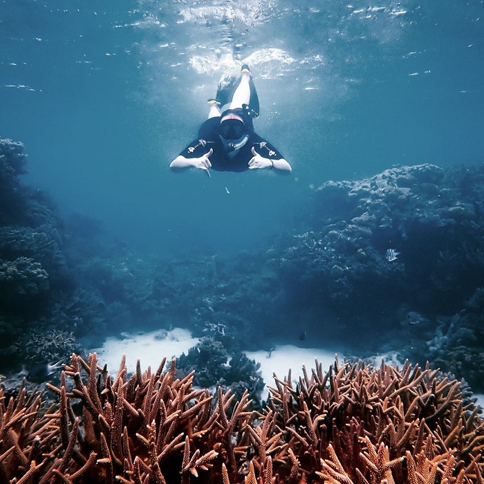 Great Barrier là điểm ngắm san hô trên thế giới được du khách yêu thích