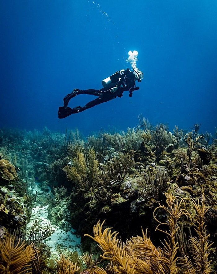 Belize là điểm ngắm san hô đẹp trên thế giới với hệ sinh thái san hô đa dạng