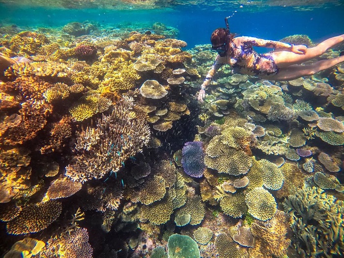 New Caledonia là điểm ngắm san hô đẹp trên thế giới không thể bỏ qua