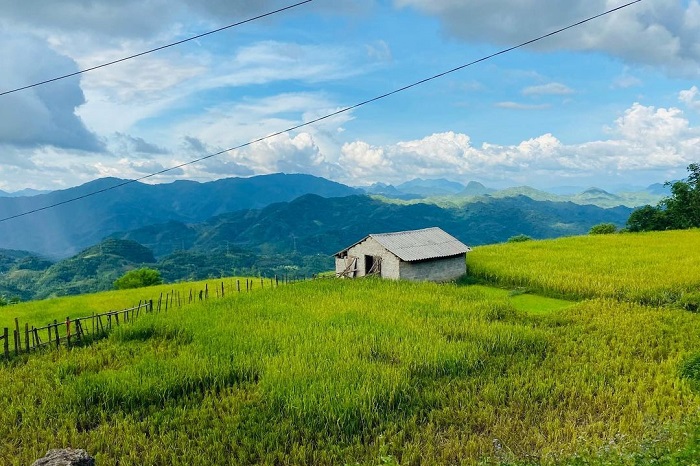 Travel to Chieng Yen Son La - a place with beautiful fresh scenery