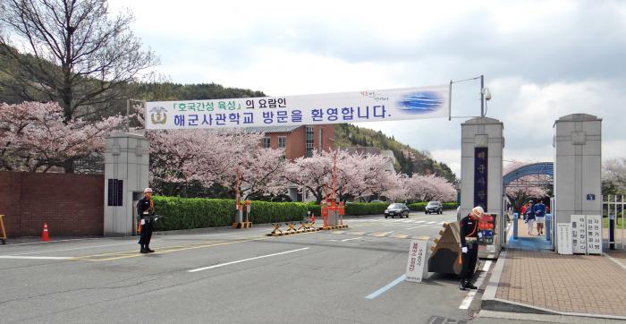 Xem hoa ở Đường đi bộ Căn cứ Hải quân là điều tốt nhất nên làm tại lễ hội ở thị trấn Jinhae