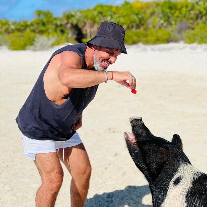 Đảo lợn Big Major là hòn đảo động vật trên thế giới khiến du khách thích thú