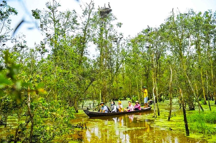 Explore the vast primeval melaleuca forest in Lang Sen Wetland Reserve