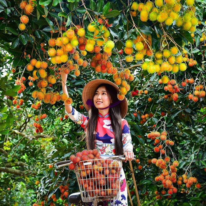Pocket travel experiences in the West - Fruit season in the garden