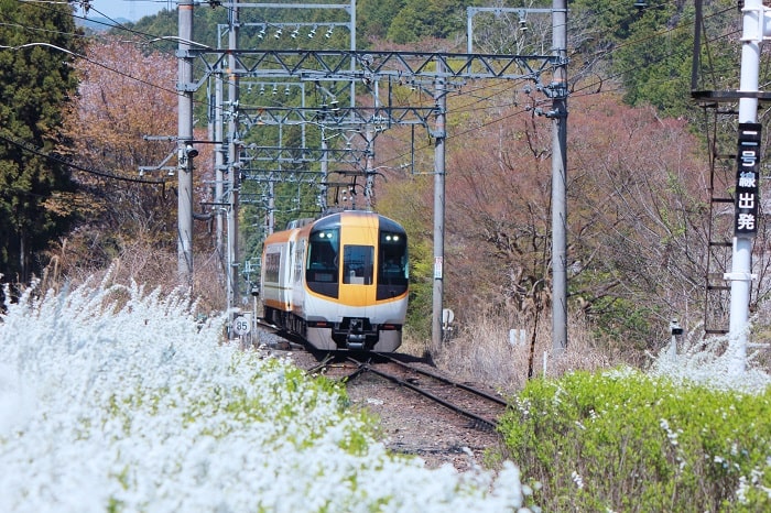 Đi tàu hỏa đến núi Yoshino Nhật Bản