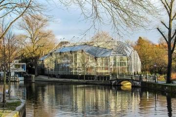Chiêm ngưỡng 4000 loài cây cỏ trong vườn thực vật Hortus Amsterdam