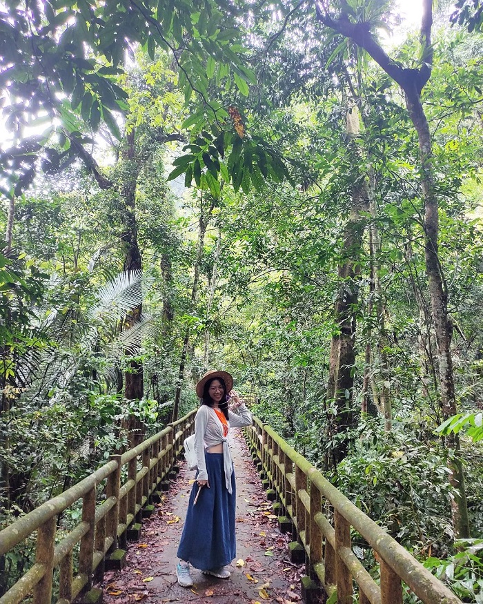 Vườn quốc gia Cúc Phương là một trong những vườn quốc gia đẹp nhất châu Á thu hút nhiều du khách