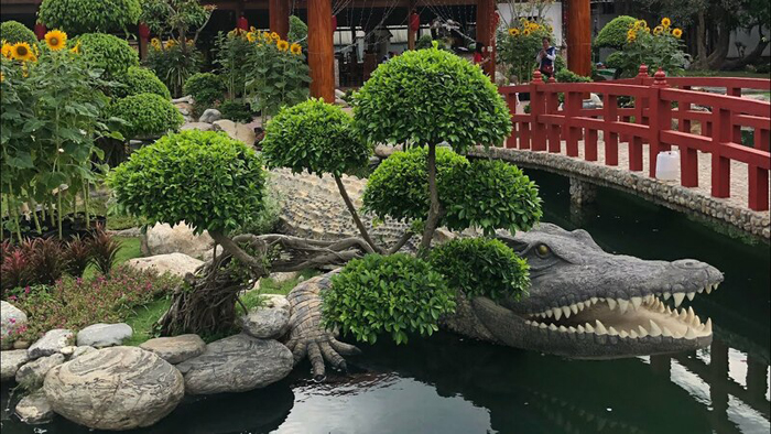 địa điểm du lịch Long Xuyên tuyệt đẹp - Vương cá sấu hơn 10.000 con