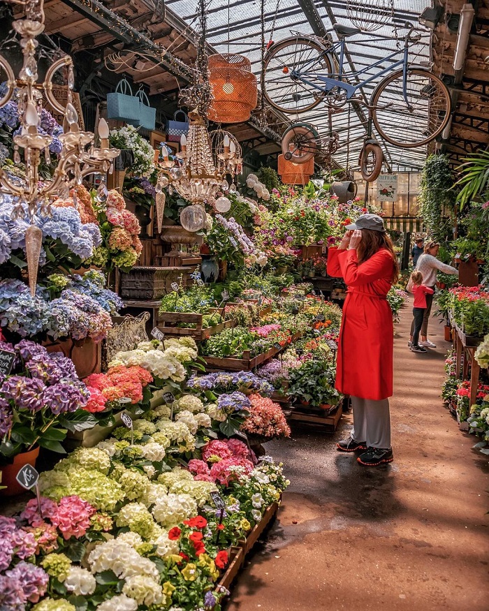 Chợ hoa Marché Aux Fleurs là chợ hoa nổi tiếng thế giới tại Pháp