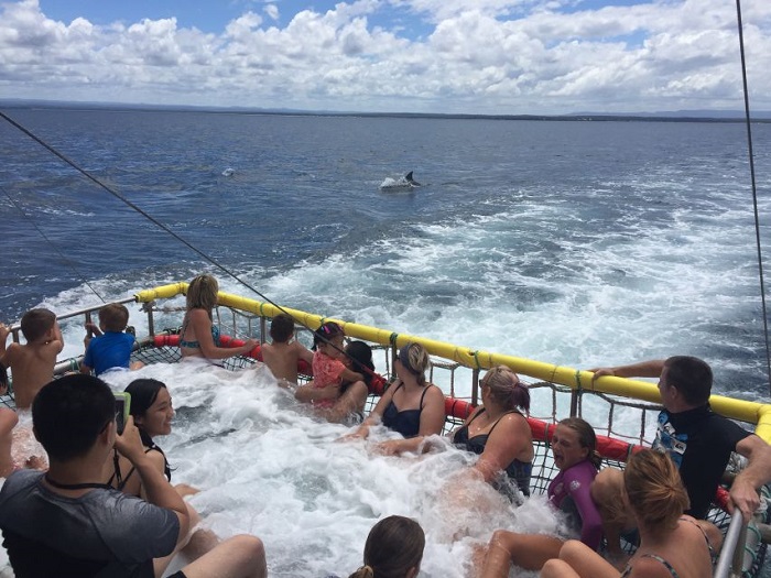 Từ Huskisson Summer Boom Netting và du thuyền ngắm cá heo là hoạt động xung quanh bãi biển Hyams