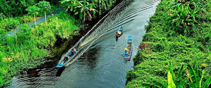 Rừng U Minh Hạ là địa điểm tham quan gần chùa Rạch Giồng