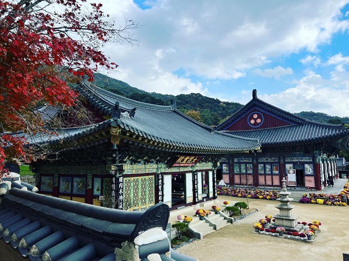 Chùa Haeinsa là ngôi chùa lớn nhất thế giới nằm ở Hàn Quốc
