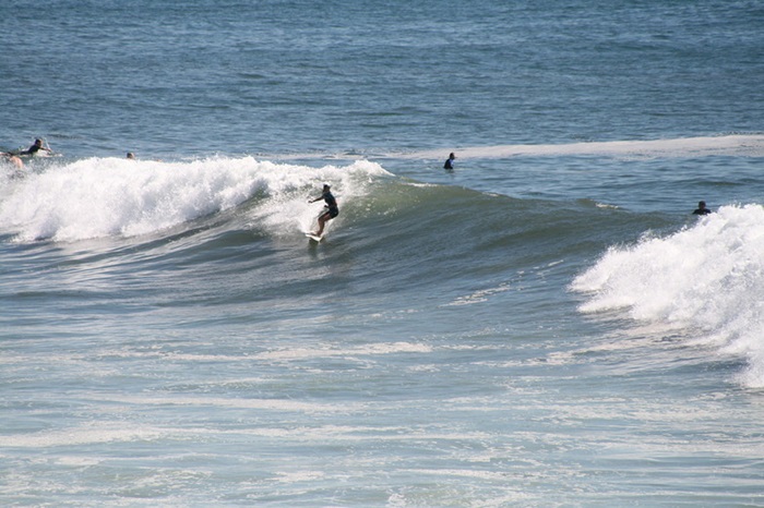 lướt sóng là điều cần làm ở bãi biển Collaroy