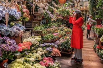 Những chợ hoa nổi tiếng thế giới có gì thú vị mà du khách thích mê?