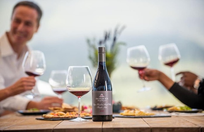 Thưởng thức rượu vang Hermanus ở thị trấn Hermanus Nam Phi