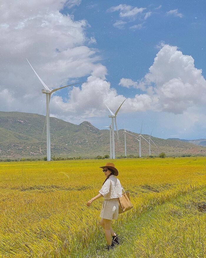 cánh đồng điện gió ở Tây Nguyên Đắk Đoa