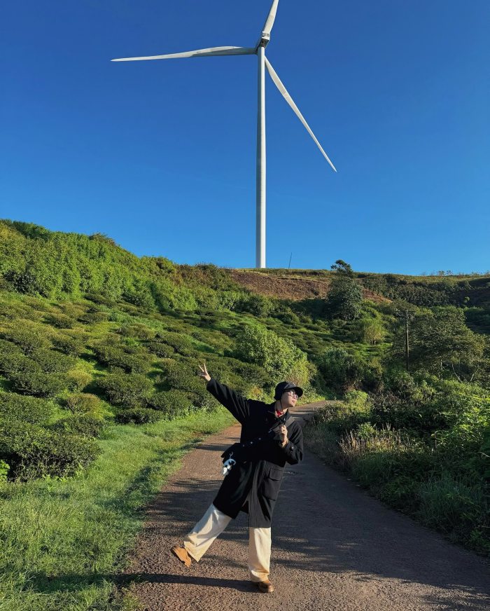 cánh đồng điện gió ở Tây Nguyên Cầu Đất 