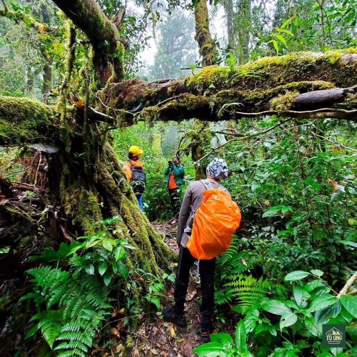 Cẩm nang du lịch Tây Nguyên 30/4 - 1/5 