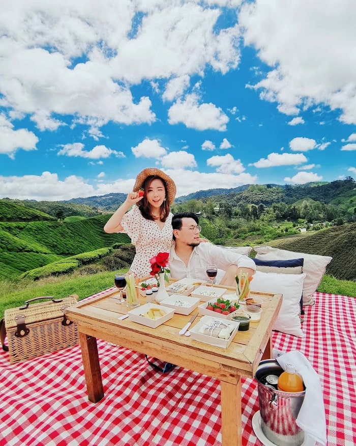 Dã ngoại giữa cánh đồng trà là điều cần làm hàng đầu ở đồn điền Boh Malaysia