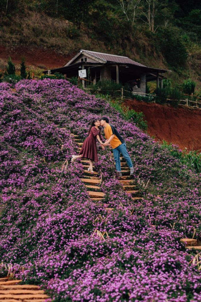 Bỏ túi list điểm check-in cung đường Tà Nung Đà Lạt tuyệt đẹp tha hồ chill