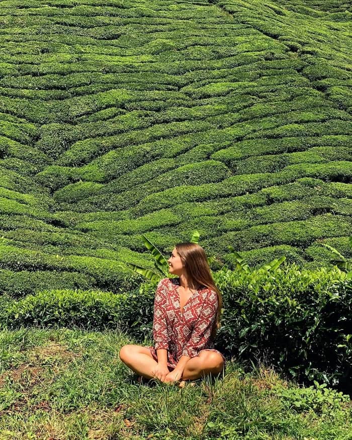 Khám phá đồn điền Boh Malaysia