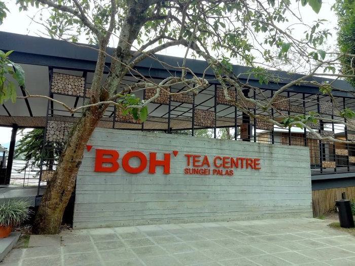 Tham quan nhà máy trà có hướng dẫn viên là điều cần làm hàng đầu ở đồn điền Boh Malaysia