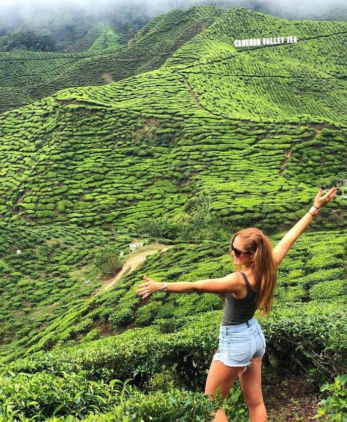 Đi bộ đường dài là điều cần làm hàng đầu ở đồn điền Boh Malaysia