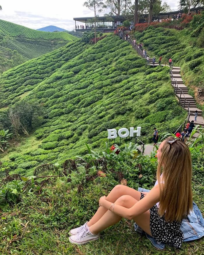 Khám phá đồn điền Boh Malaysia