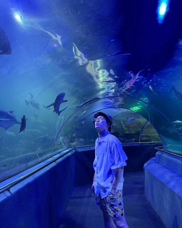 thuỷ cung ở Nha Trang