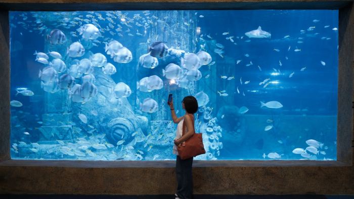 thuỷ cung ở Nha Trang Thuỷ cung VinWonders Nha Trang (Cung điện Hải Vương)