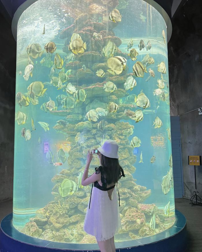 thuỷ cung ở Nha Trang Viện Hải dương học Nha Trang