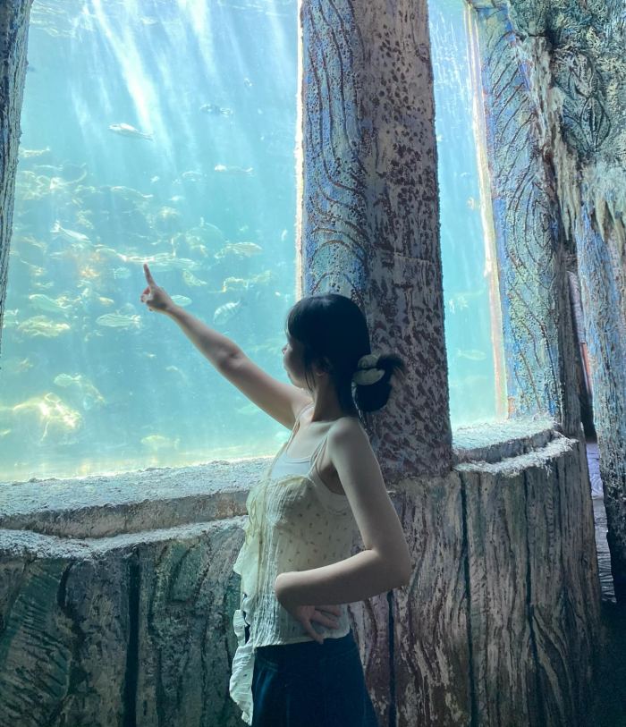 thuỷ cung ở Nha Trang Thuỷ cung Trí Nguyên  