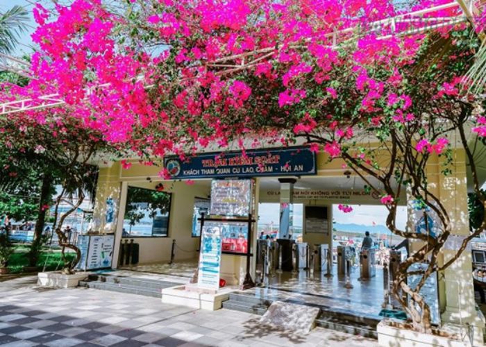 Tour Cù Lao Chàm Đà Nẵng Best Travel 