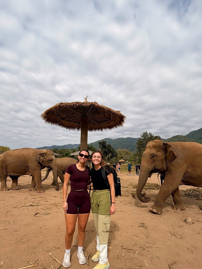 Tại sao nên ghé thăm các khu bảo tồn voi ở Chiang Mai