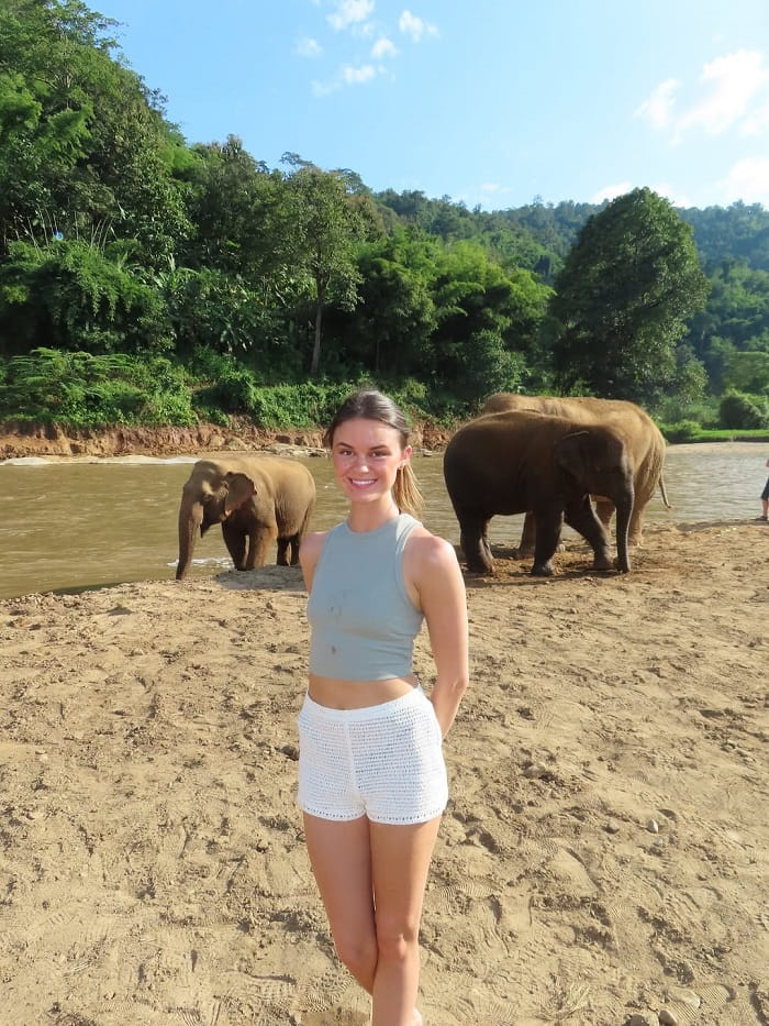 Tại sao nên ghé thăm các khu bảo tồn voi ở Chiang Mai