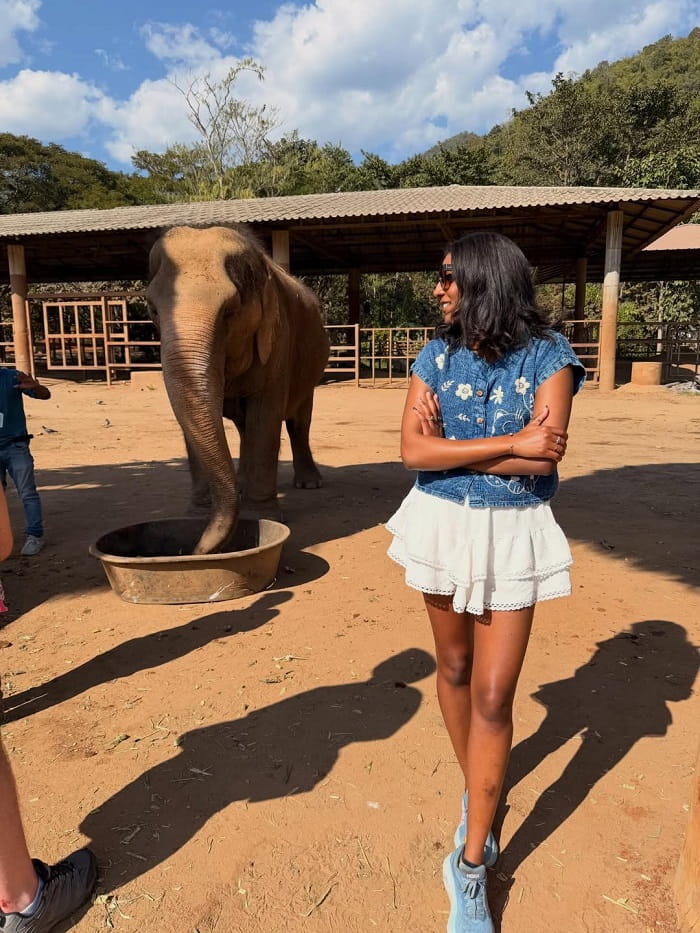 Khám phá các khu bảo tồn voi ở Chiang Mai