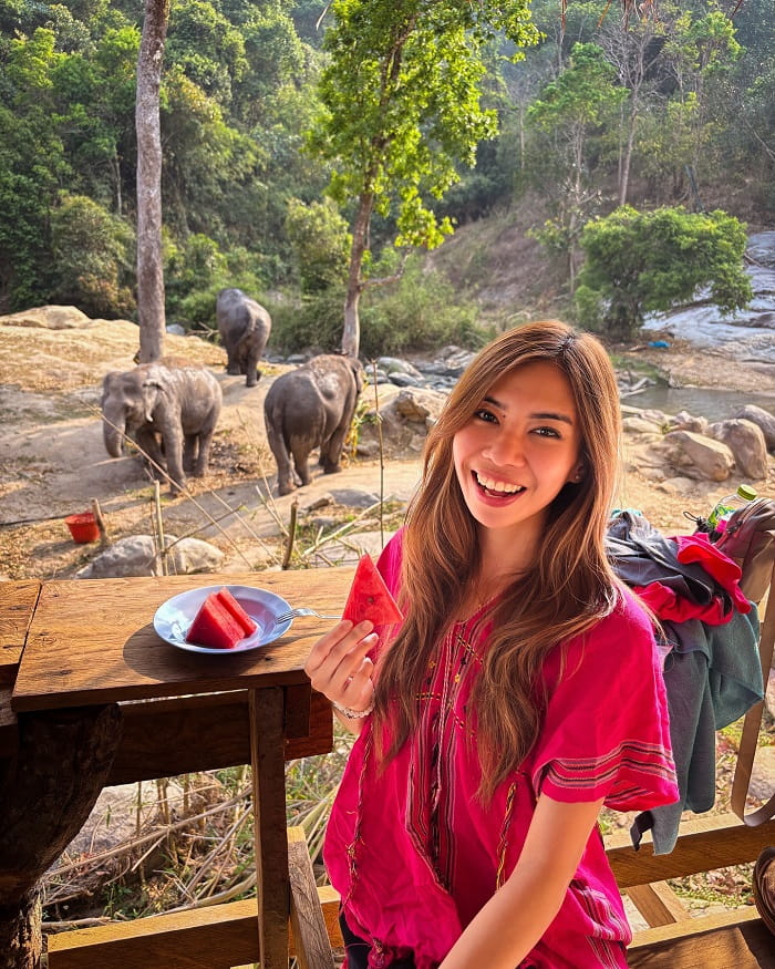 Chuẩn bị cho chuyến thăm các khu bảo tồn voi ở Chiang Mai