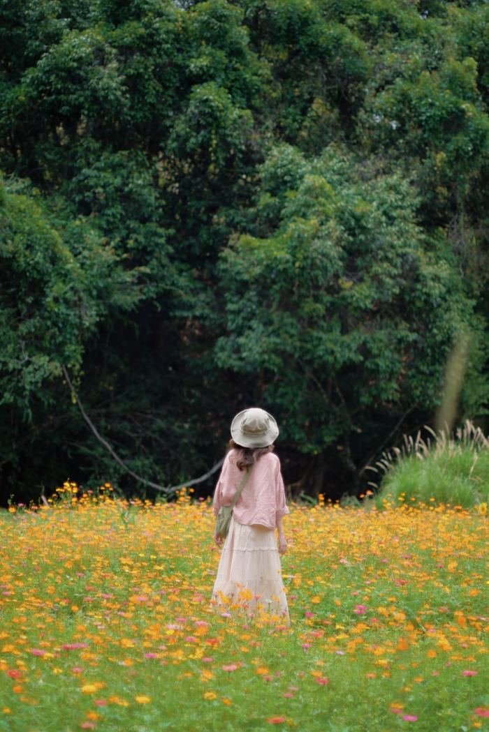 Đà Lạt mùa hè có gì chơi Đà Lạt mùa hè có gì chơi