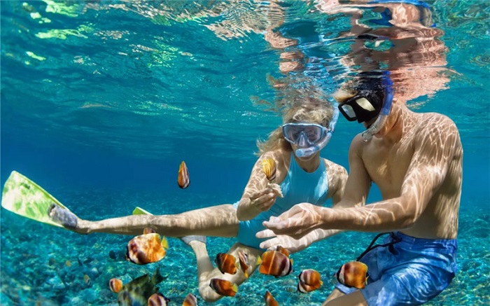 Lặn ngắm san hô là điểm nổi bật và điểm tham quan chính của đảo James Bond Thái Lan 