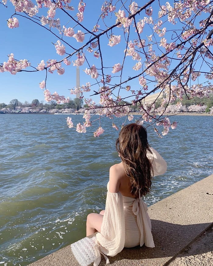 Vẻ đẹp hồ Tidal Basin Mỹ