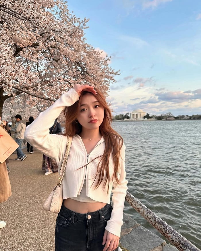 Vẻ đẹp hồ Tidal Basin Mỹ