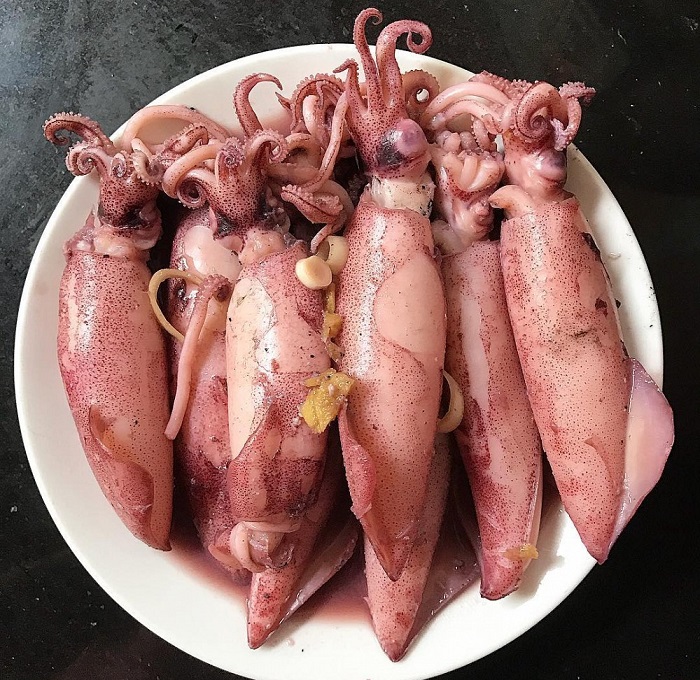 Kinh nghiệm du lịch Cửa Lò - mực nháy Cửa Lò