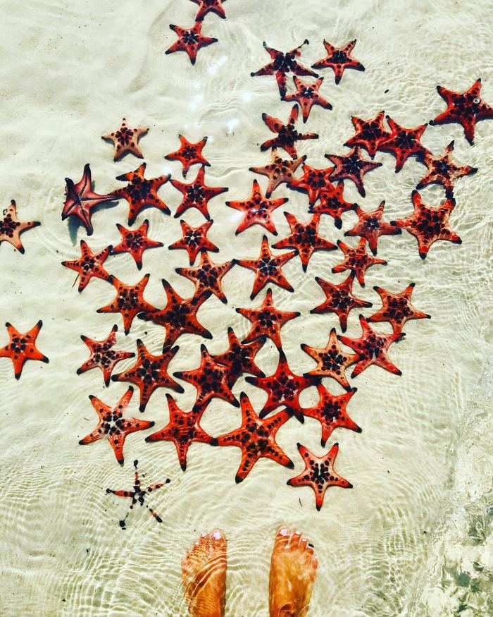 mùa sao biển Phú Quốc