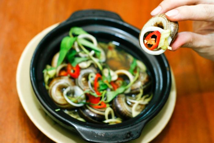 Ốc xu núi Bà Tây Ninh 