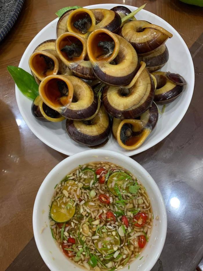 Ốc xu núi Bà Tây Ninh 